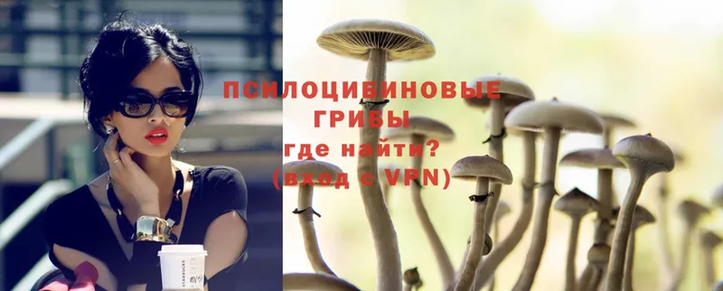 Псилоцибиновые грибы Magic Shrooms  где можно купить   Валуйки 